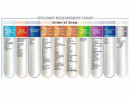 order of draw printables phlebotomy geeks phlebotomy