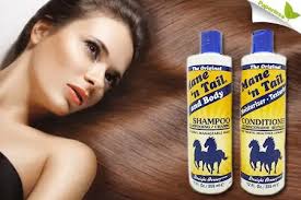 Shampoo de Cavalo Para os Cabelos
