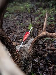 It never gets old. It just never ever gets old.