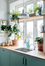 60+ window shelf for plants ideas
