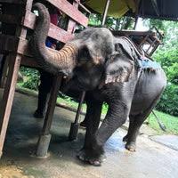 Located on 150 acres of pristine surroundings, the a'famosa animal world safari is an amazing wildlife safari that houses over 150 of the finest species from the animal kingdom. A Famosa Animal World Safari Zoo