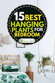 Check spelling or type a new query. 15 Best Hanging Plants For Bedroom Garden Tabs
