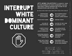 Librivox is a hope, an experiment, and a question: White Dominant Culture Art Museum Teaching
