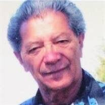 Mike Anthony Vialpando Obituary