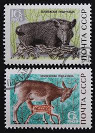 Wild Animals And Babies Postage Stamp Set Soviet Union 1969 Used Vintage Post Belovezhskaya Pushcha Nature Reserve Unesco Heritage Animals Wild Animals Stamp