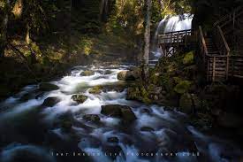 Maybe you would like to learn more about one of these? Mcdowell Creek Falls Loop Is The Perfect Spring Hike That Oregon Life