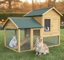 Cage Clapier Enclos Lapin Extérieur en Bois Haute Qualité ...