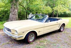 Image result for Phoenician Yellow 1964 Mustang