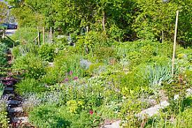 Check spelling or type a new query. Garten Basics Fur Einsteiger Meingartenversand De