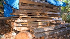 Drying Wood With Dehumidifier Wood Kiln How To Dry Wood Wood Kiln How To Dry Wood Wood