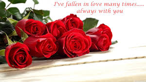 Downloade dieses freie bild zum thema rosen rosenstrauss rosenstrauß aus pixabays umfangreicher sammlung an public domain bildern und videos. Quotes About Rose 540 Quotes