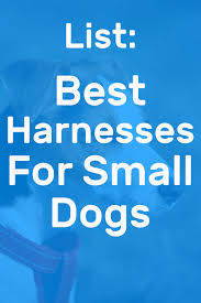 The 5 Best Harnesses For Small Dogs Doggowner
