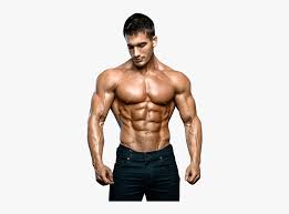 Muscle Free Download Png Body Builder Images Download
