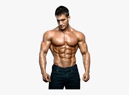 muscle free download png body builder images download