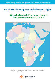 Image result for Garcinia kingaensis