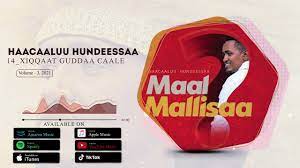 O resumo do livro o alienista; Hachalu Hundessa Xiqqaat Guddaa Caale Youtube