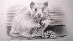 Tekenen moeilijk google zoeken tekenen ogen tekenen meiden tekeningen. Hond Voor Beginners Grafiet Potlood Tekening By Drawing With Lineke Lijn