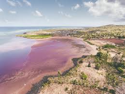 شاحنة هونداي 1996 مستعملة للبيع. Comores Hbi0rk0vni37jm The Capital Moroni Located On The Island Of Grande Comore N Gazidja Has Most Of The Modern Commercial And Manufacturing Facilities Located In The Country Lavosradio