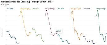 a year in avocado charts packer