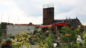 Dachterrasse Ideen Fur Pflanzen Und Gestaltung Gartenlexikon De