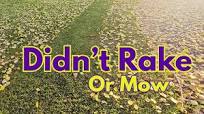 A CRAZY Easy Way To Collect Leaves Without Raking