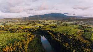 Canlaon is home to the highest peak in its own province and its corresponding island, kanlaon volcano, which is 2,465 metres (8,087 ft) above. Sicht Auf Dem Kanlaon Vulkanberg Uber Die Zuckerrohrfelder In Negros Occidental Creative Commons Bilder