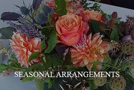 We did not find results for: Oakland Florist Flower Delivery By Arjan Flowers