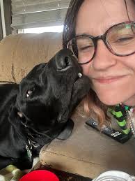 this is Luca! she's my black lab german short hair pointer mix! shes going  to be 2 at the end of July.