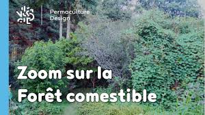 Apprendre à créer un jardin forêt, en s'inspirant des jardins forêts tropicaux et en imitant le fonctionnement d'un jeune boisement. Zoom Sur La Foret Nourriciere