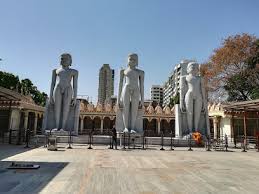 Wild Wonders at Tiger and Lion Safari