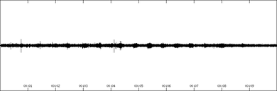 Image result for Crotalaria huillensis