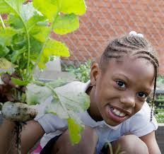 Tawanna Boykins's Instagram, Twitter & Facebook