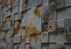 Revestimento 3d Saiba Como Escolher 43 Modelos Lindos Revestimento 3d Revestimento Placas De Revestimento