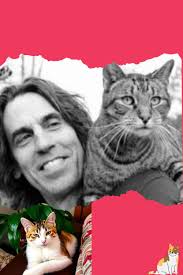 A Heartbreaking Story from Long Island: Chris Arsenault, the Man Who Gave  Everything for Cats Friends say Chris Arsenault poured everything he had  into the Happy Cat Sanctuary in Long Island. This