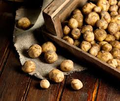 La pomme de terre, on l'aime et on la cuisine très souvent. Pommes De Terre De Nourmoutier Les Varietes La Noirmoutier