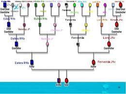 The basic pattern has repeatedly been found in different settings which include single bars. Proving Native American Ancestry Using Dna Dnaexplained Genetic Genealogy