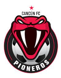 Cancun Pioneros Mexico Liga Premier Serie A Soccer Logo Snake Logo Owl Logo