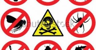 شركة مكافحة حشرات بتبوك 0501214920 Cards Free Svg Playing Cards