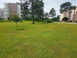 28 likes · 1 talking about this. Viana Do Castelo Cabedelo Beach Apartment Apartment Viana Do Castelo