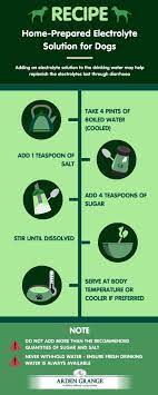 What makes it special is its higher concentration of these electrolytes and much lower sugar concentration compared to traditional sports drinks such as gatorade. Easy Recipe For Homemade Electrolyte Solution For Dogs Arden Grange