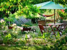 We did not find results for: Ghivece Rosii