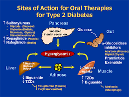 Slide010 Gif 450 338 Pixels Types Of Insulin Diabetes Mellitus Treatment Insulin Therapy