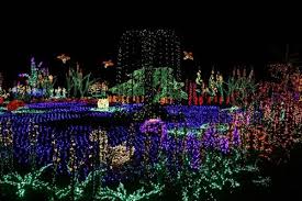 Twinkle Twinkle 22 Light Displays To Make The Season Bright Holiday Lights Display Light Display Christmas Light Displays