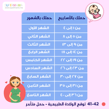 Pin On Pregnancy الحمل