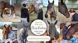 Nup To The Cup ~ Choose Kindness