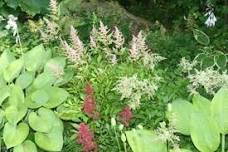 House & Garden Tour