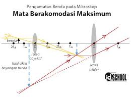 Penggunaan mikroskop pada mata tak berakomodasi. Pembentukan Bayangan Pada Mikroskop Idschool