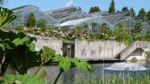Wir freuen uns über spenden! Botanischer Garten In Marburg Benotigt Millionen Fur Gewachshaus Sanierung Frankenberg Waldeck