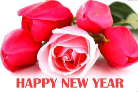Pin By Sumanti On All Games Live Stream Pink Rose Pictures Beautiful Pink Roses Good Morning Rose Images