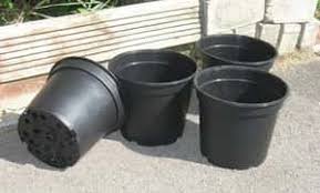 Oak garden barrel tub planters boxes. The 9 Best Containers For Growing Vegetables Do Not Disturb Gardening